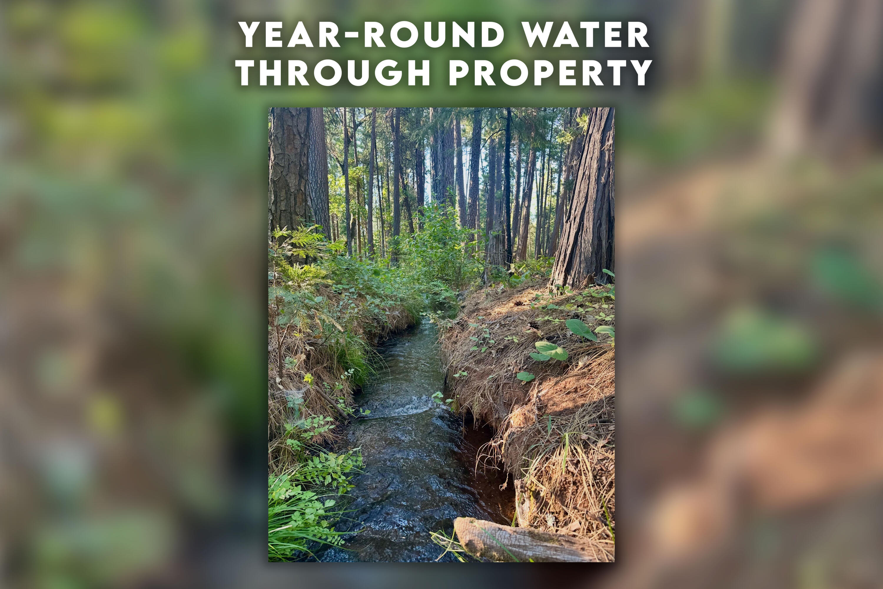 7795 Eastmoore Road Shingletown, CA 96088 - Photo 60 of 61 Revised-9