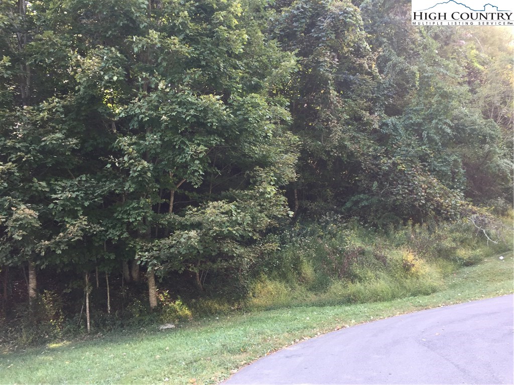 Park Street Boone, NC 28607 - Photo 1 of 3 Gallery Image 1