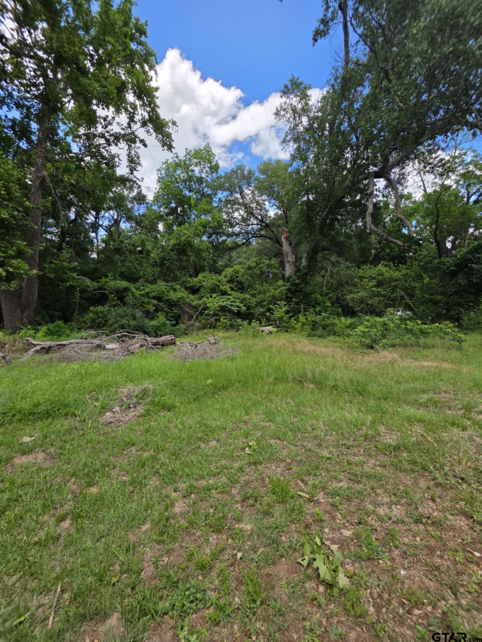 233 Hill Avenue Rusk, TX 75785 - Photo 2 of 6