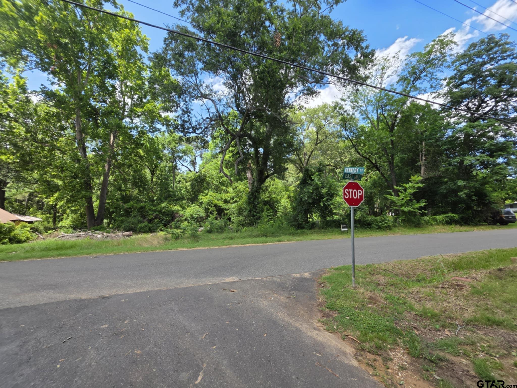 233 Hill Avenue Rusk, TX 75785 - Photo 3 of 6