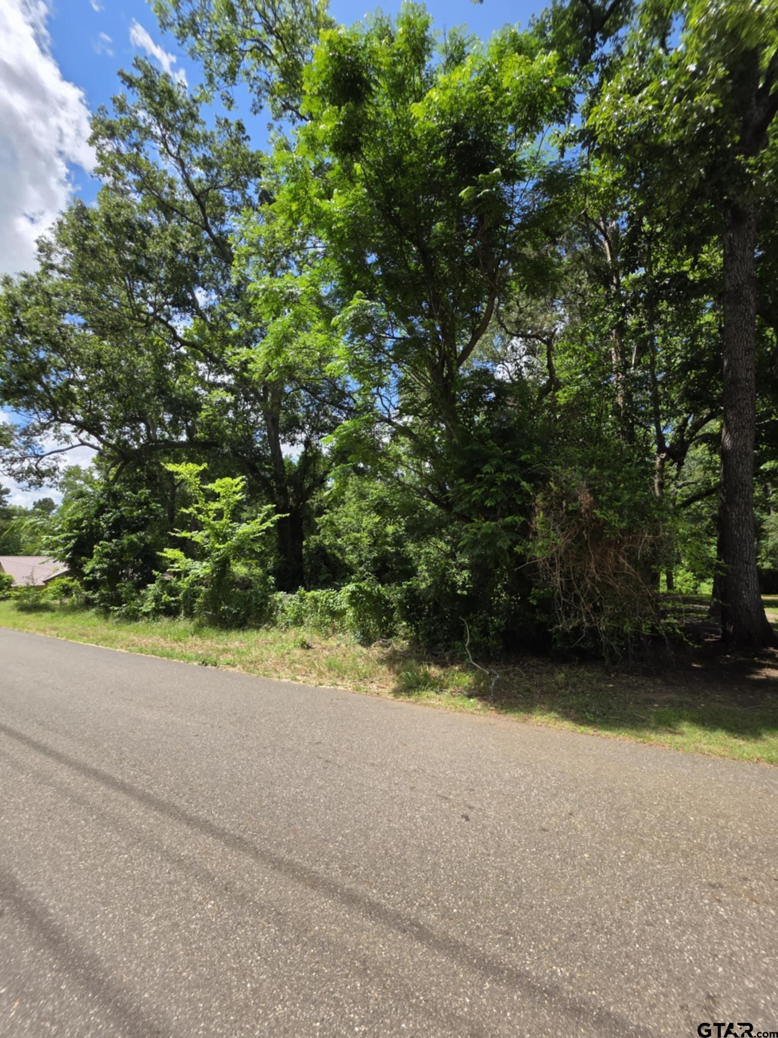 233 Hill Avenue Rusk, TX 75785 - Photo 4 of 6