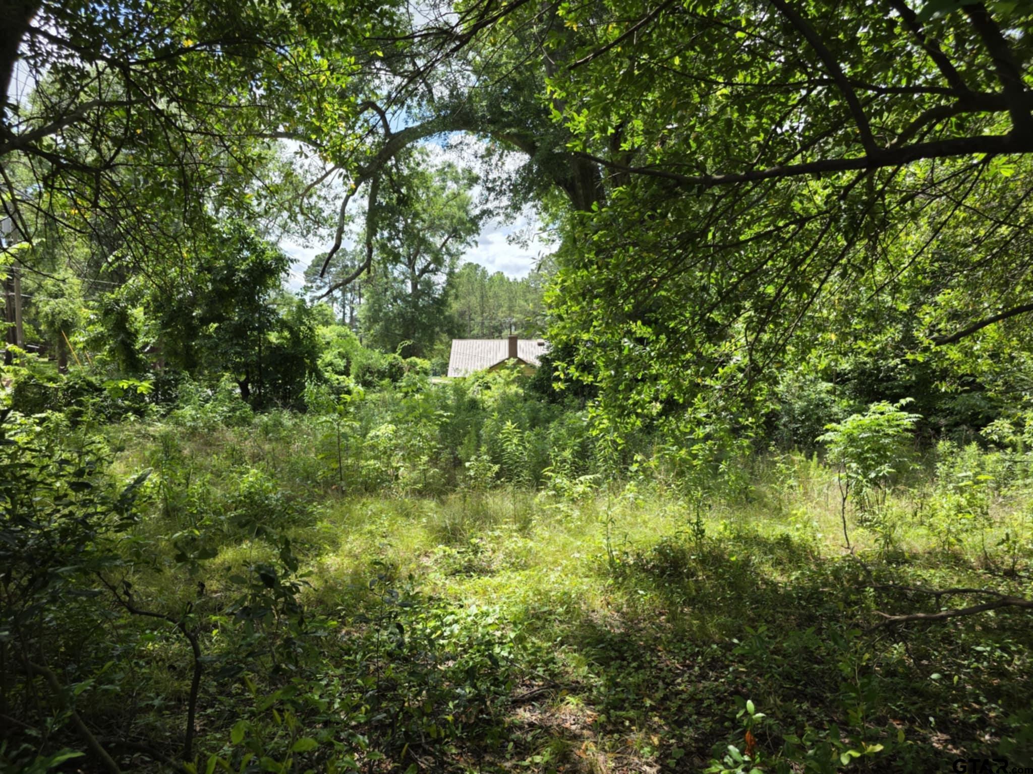 233 Hill Avenue Rusk, TX 75785 - Photo 5 of 6