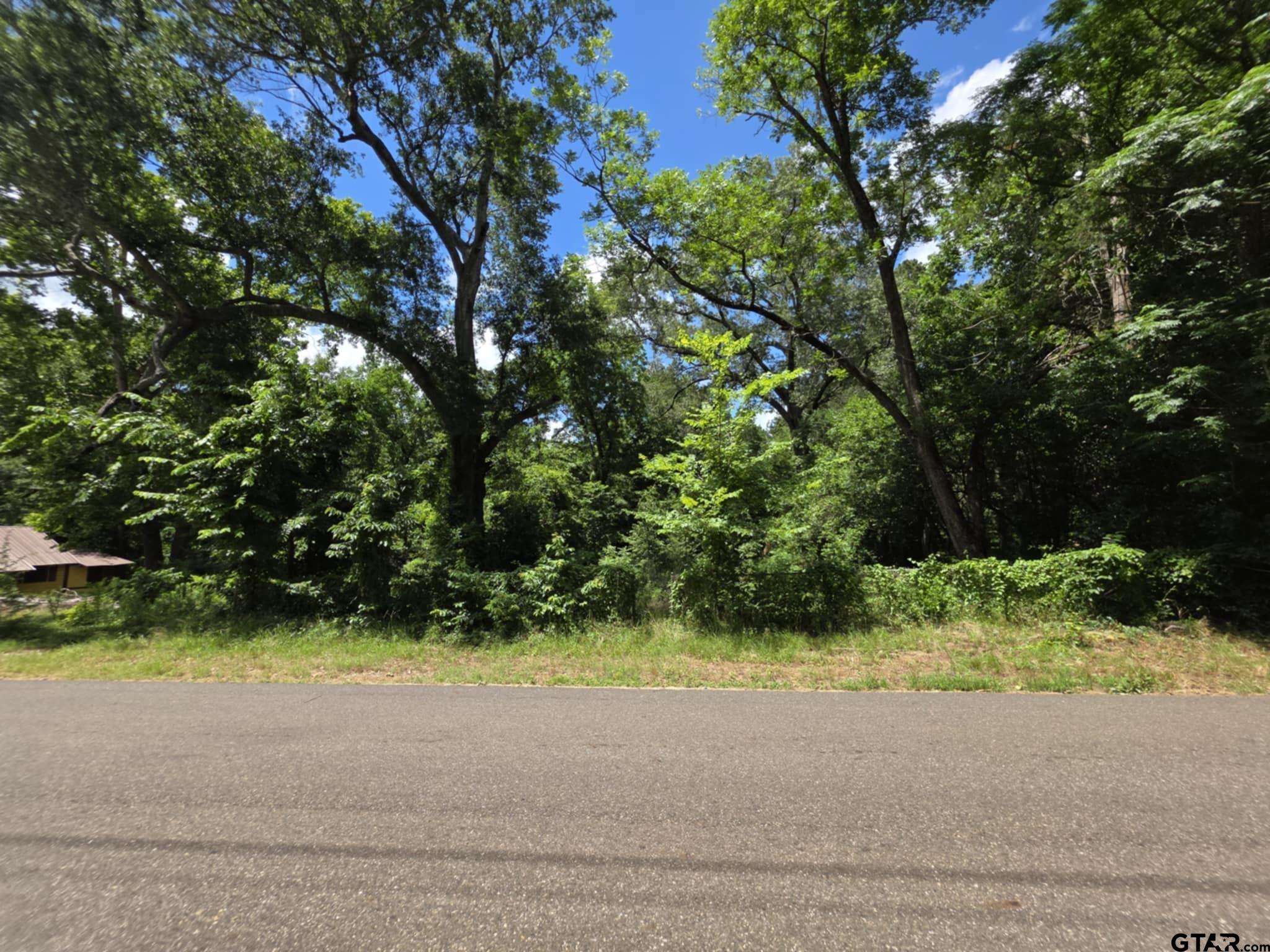 233 Hill Avenue Rusk, TX 75785 - Photo 6 of 6