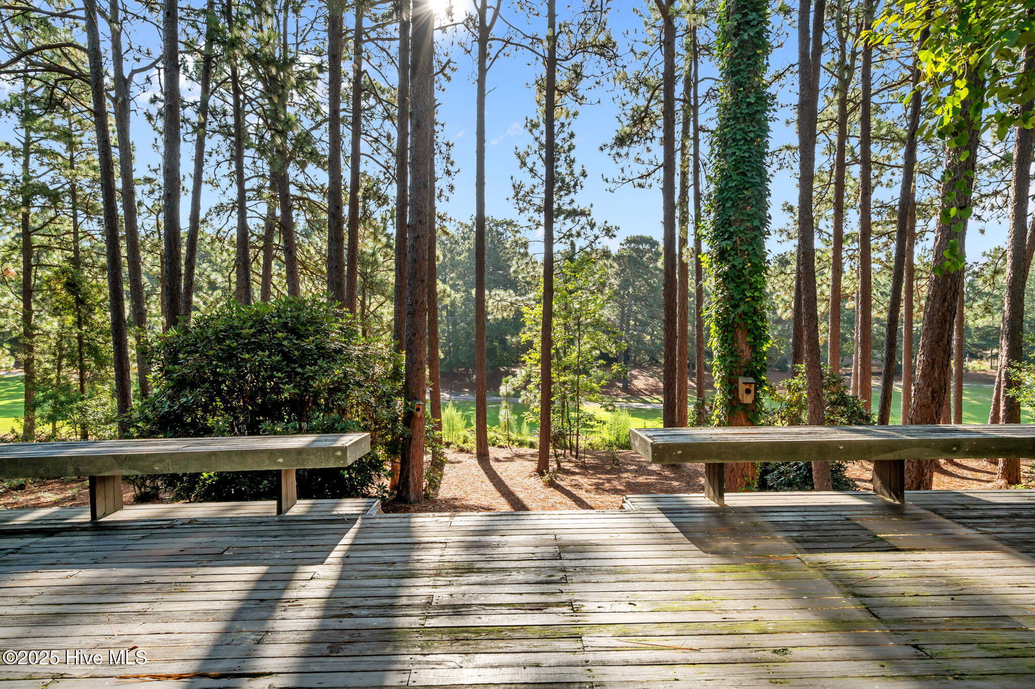 101 Dorset Road West End, NC 27376 - Photo 37 of 60 39-web-or-mls-DSC03184