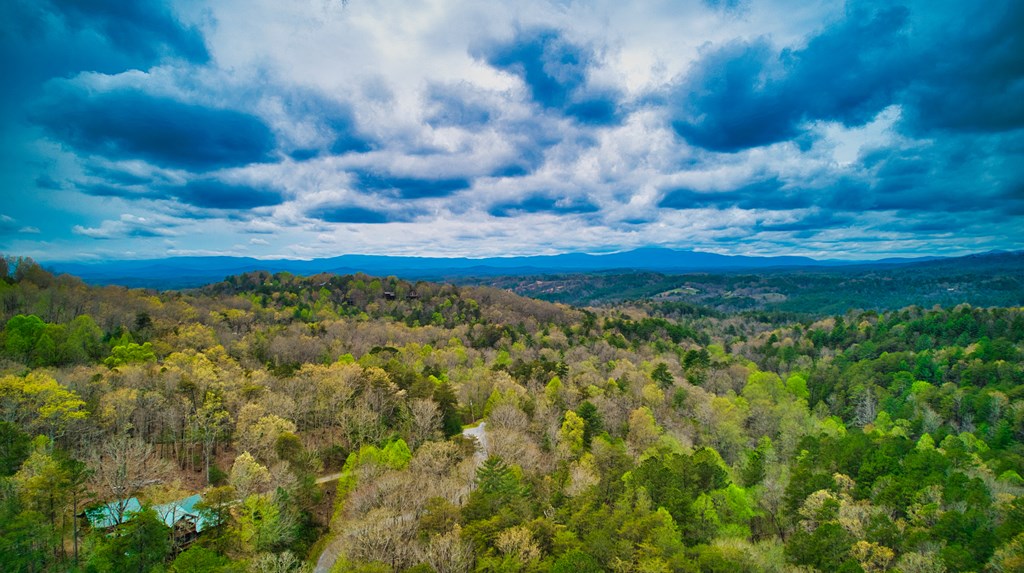 276 My Mountain Road Morganton, GA 30560 - Photo 7 of 71 Gallery Image 7