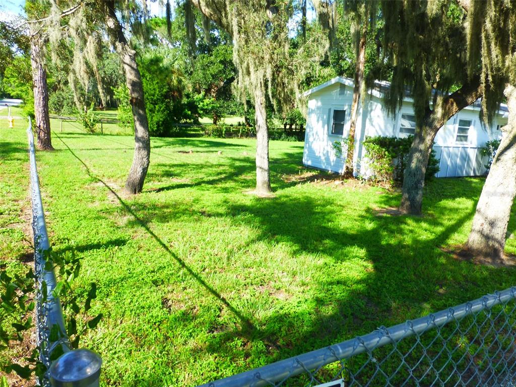 2007 Cemetery Road Holiday, FL 34691 - Photo 2 of 13