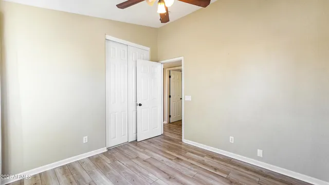 a view of a backyard with plants