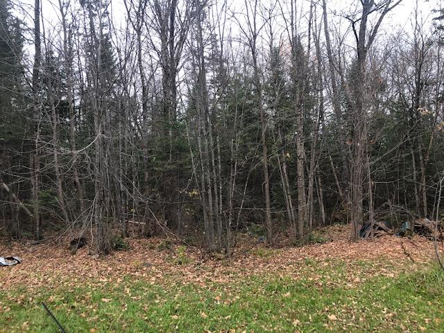 302 Silvers Mills Road Sangerville, ME 04479 - Photo 2 of 12 IMG_3765
