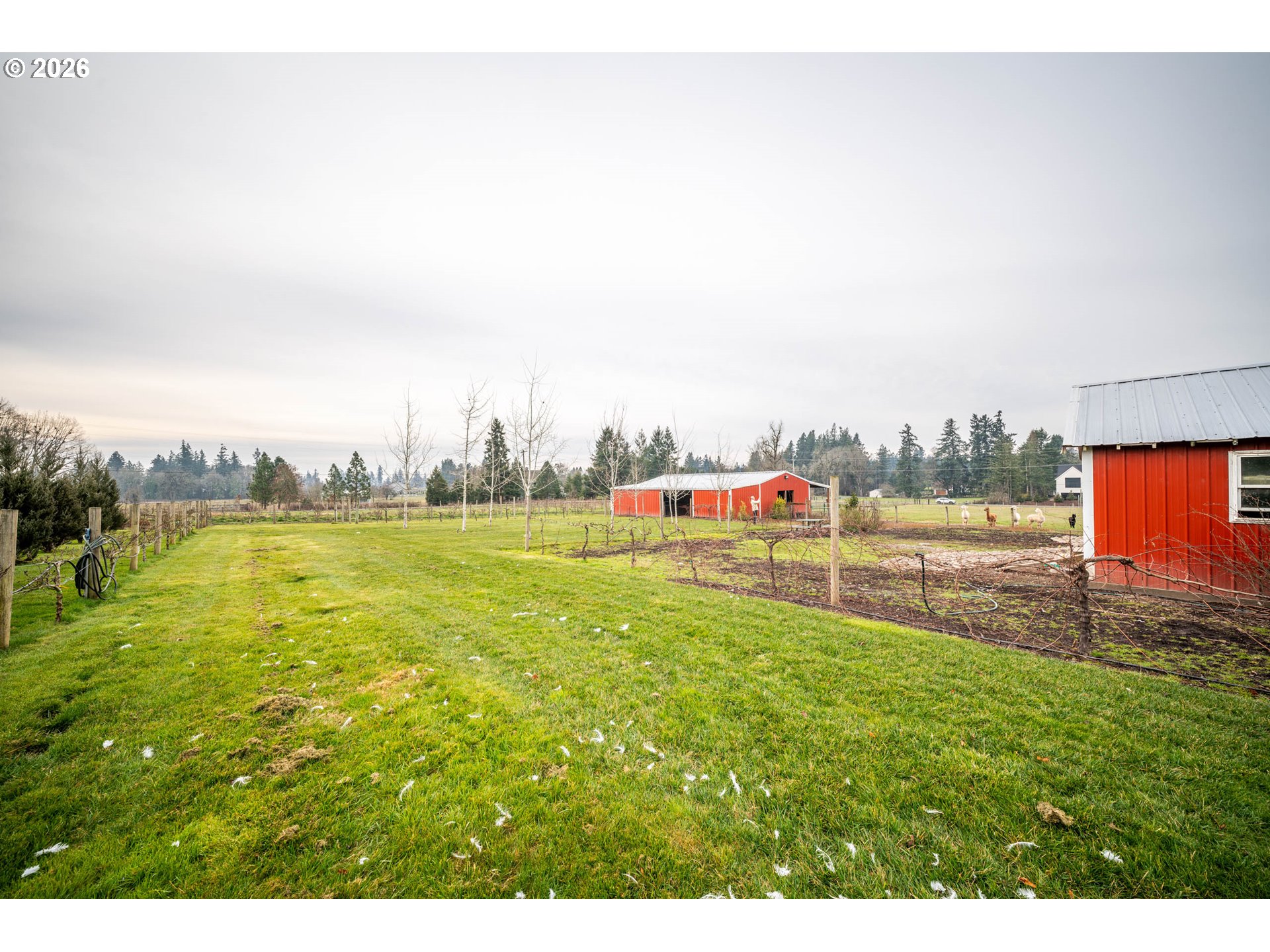 1483 Southwest Hoffman Road West Linn, OR 97068 - Photo 18 of 31