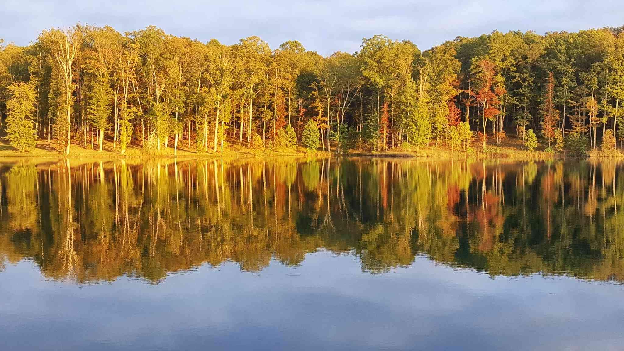 705 Myers Point Road Sewanee, TN 37375 - Photo 25 of 30 One of two cultivated lakes in the Myers Point community.