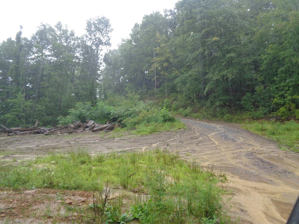 0 Atwell Mtn Road Raysal, WV 24879 - Photo 4 of 9 Gallery Image 4