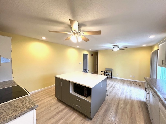 1444 Pine Avenue Rantoul, IL 61866 - Photo 11 of 22 Gallery Image 11