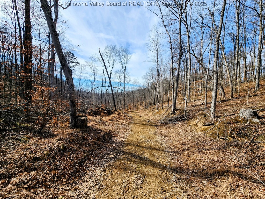 0 Indian Creek Road Elkview, WV 25071 - Photo 4 of 18 Timberdale Dr Access