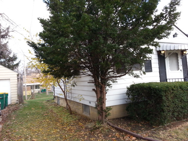 1221 John Street Joliet, IL 60435 - Photo 3 of 13