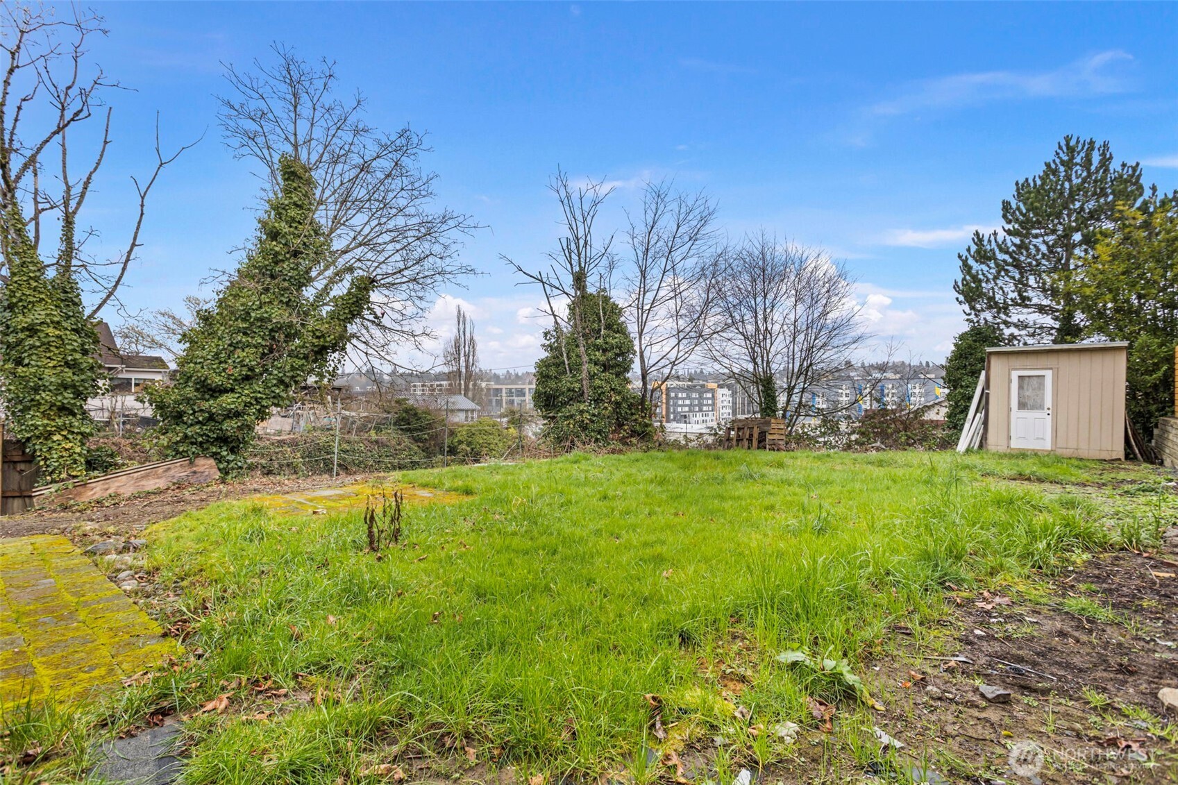 1901 South Plum Street Seattle, WA 98144 - Photo 13 of 14 a view of a backyard with large trees