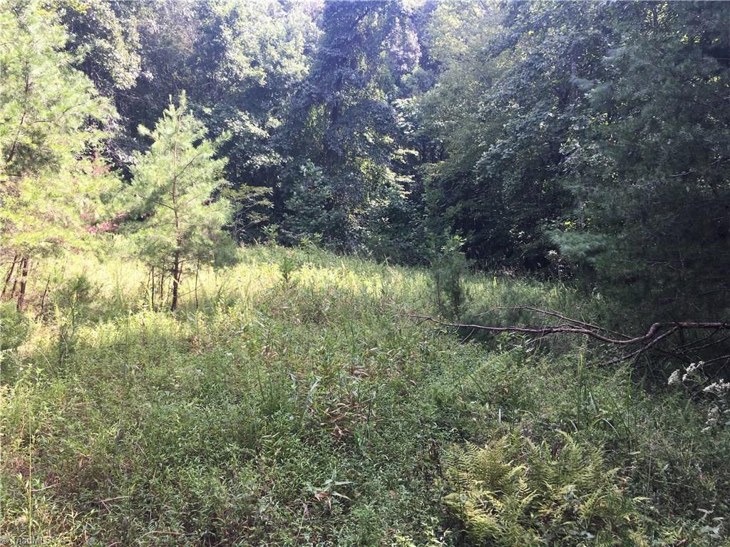 0 Roaring Gap Church Road Elkin, NC 28621 - Photo 8 of 11 Gallery Image 8