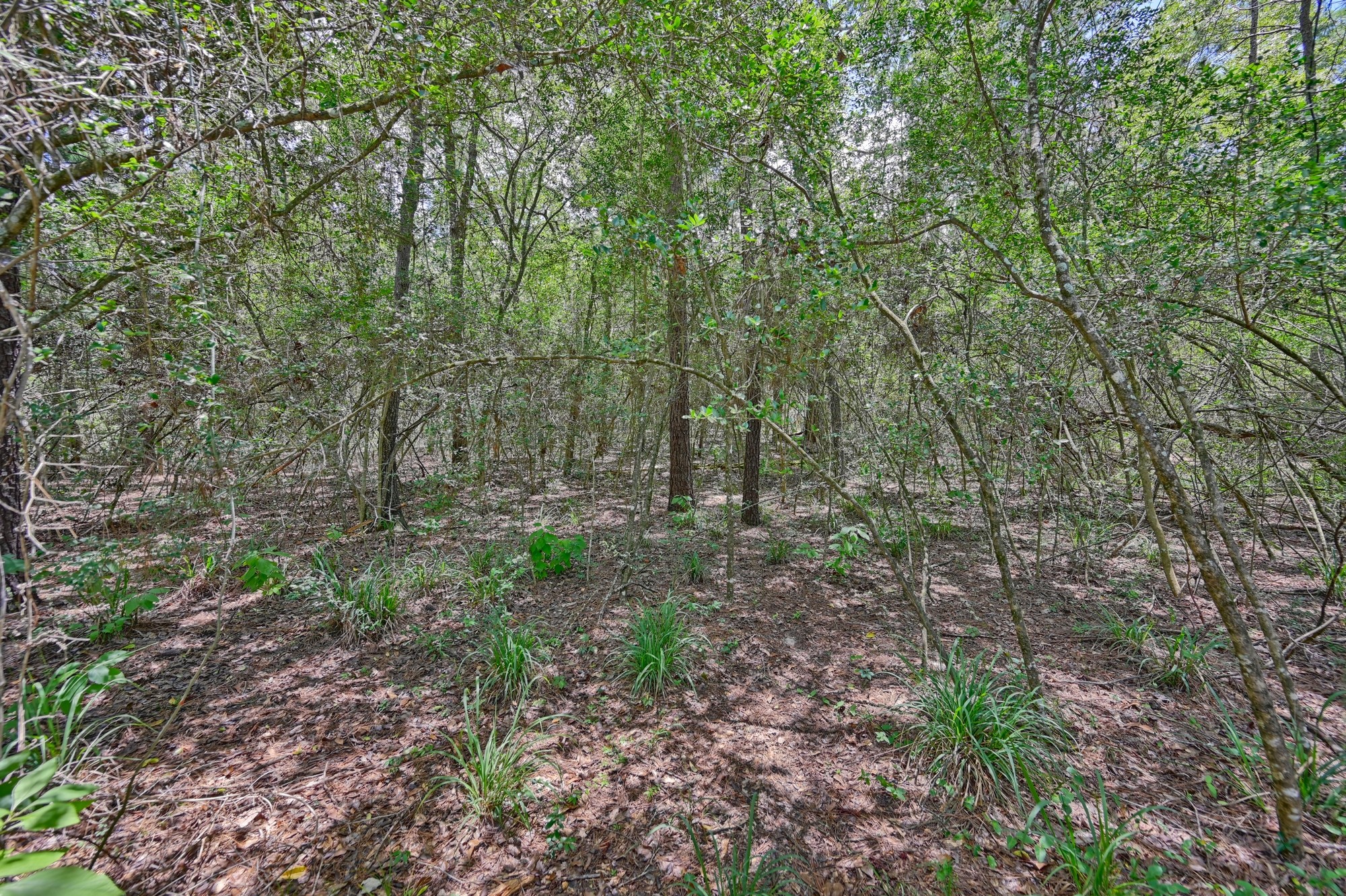 16893 Whippoorwill Road Navasota, TX 77868 - Photo 31 of 31