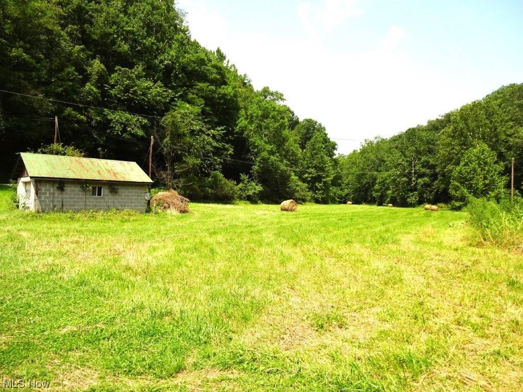 1898 Tariff Road Left Hand, WV 25251 - Photo 6 of 23