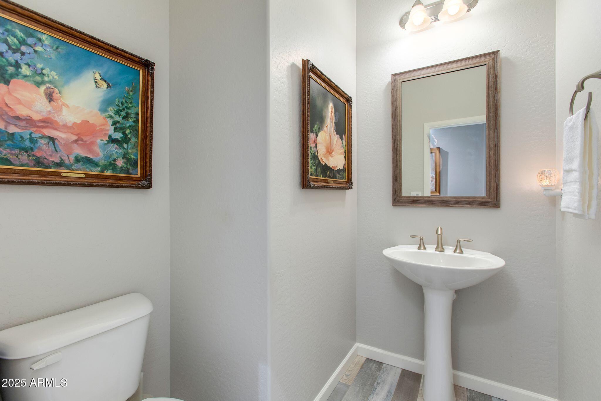 3800 Gold Ridge Road Wickenburg, AZ 85390 - Photo 16 of 51 a bathroom with a sink mirror and toilet