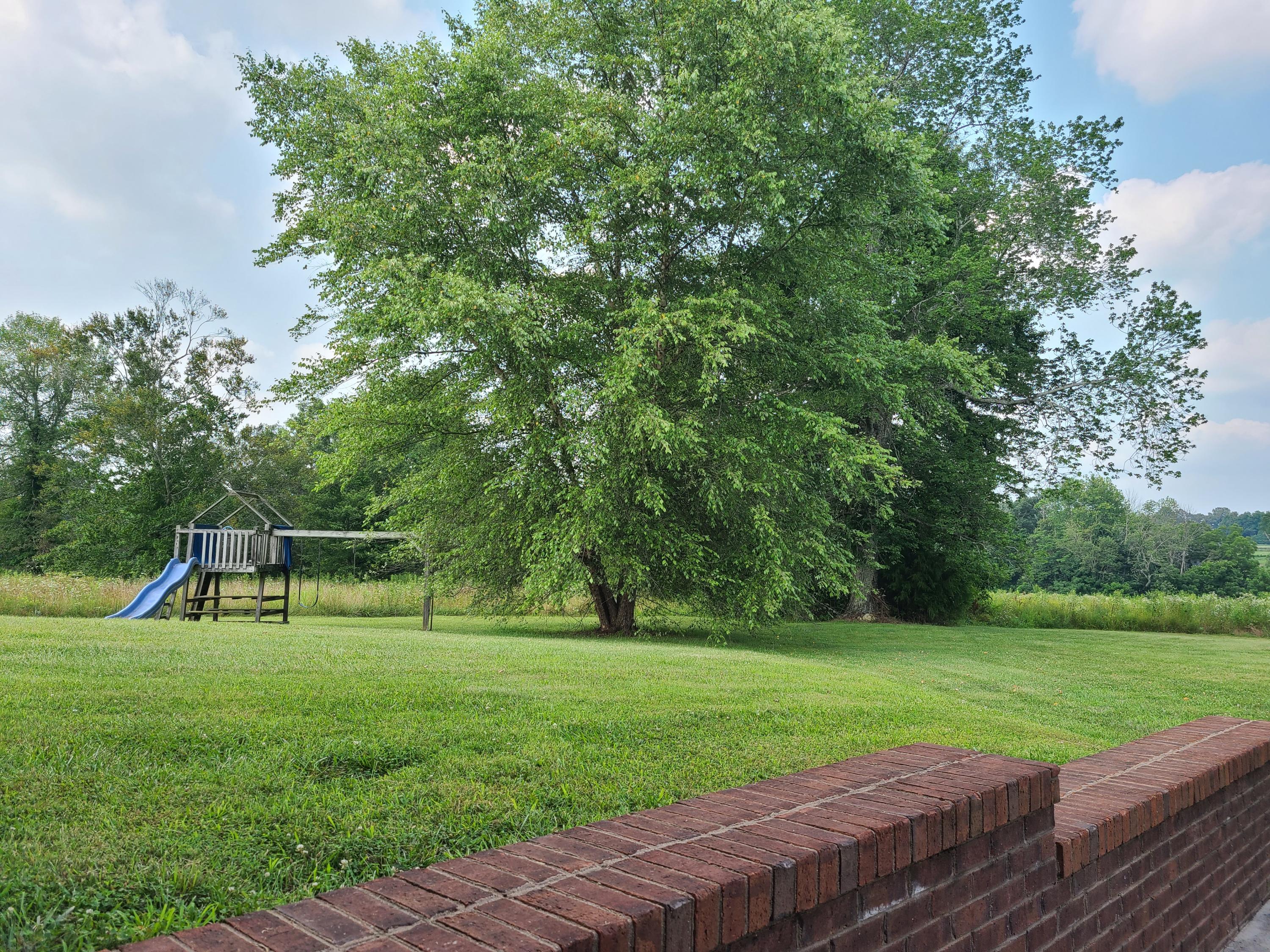 105 Ben Nelson Road Eubank, KY 42567 - Photo 52 of 55 20210721_164219