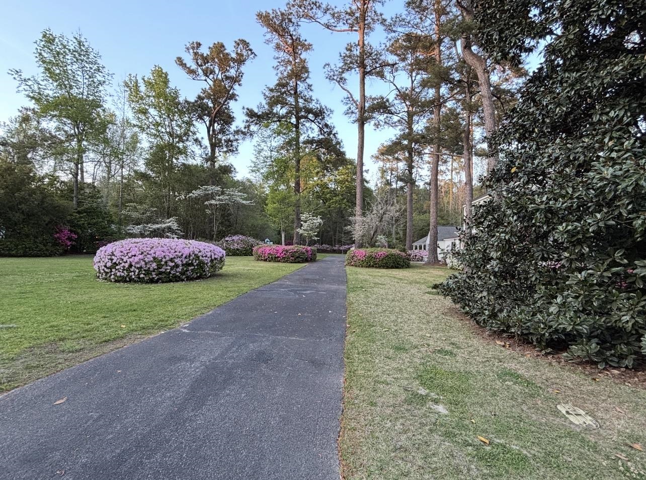 2541 Main Street Loris, SC 29569 - Photo 50 of 52