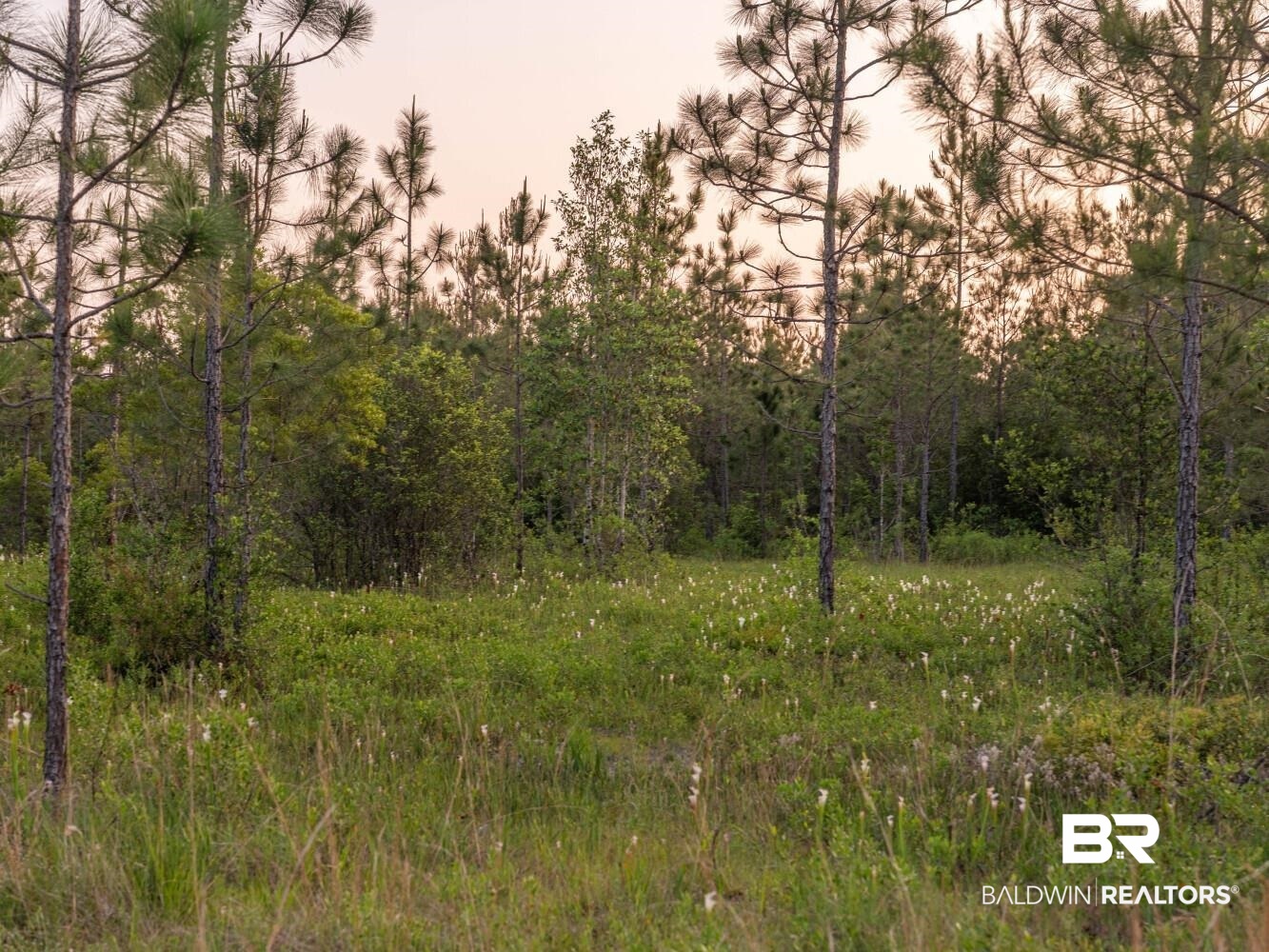 0 Lonnie Hadley Road Perdido, AL 36562 - Photo 36 of 39