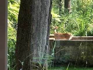 $430,000 | 149 Oakwood Avenue, Edgerton, WI 53534