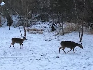 $430,000 | 149 Oakwood Avenue, Edgerton, WI 53534