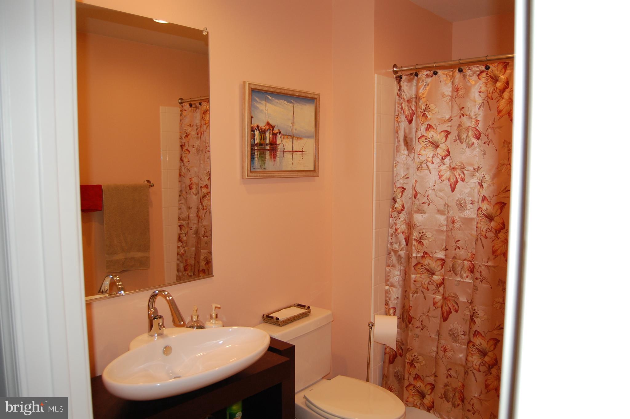 9500 Sidebrook Road, Unit 209 Owings Mills, MD 21117 - Photo 23 of 23 Hall Bathroom