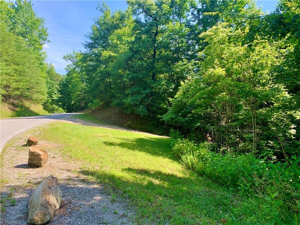 Lot 102 Staghorn Road Purlear, NC 28665 - Photo 1 of 11 Gallery Image 1