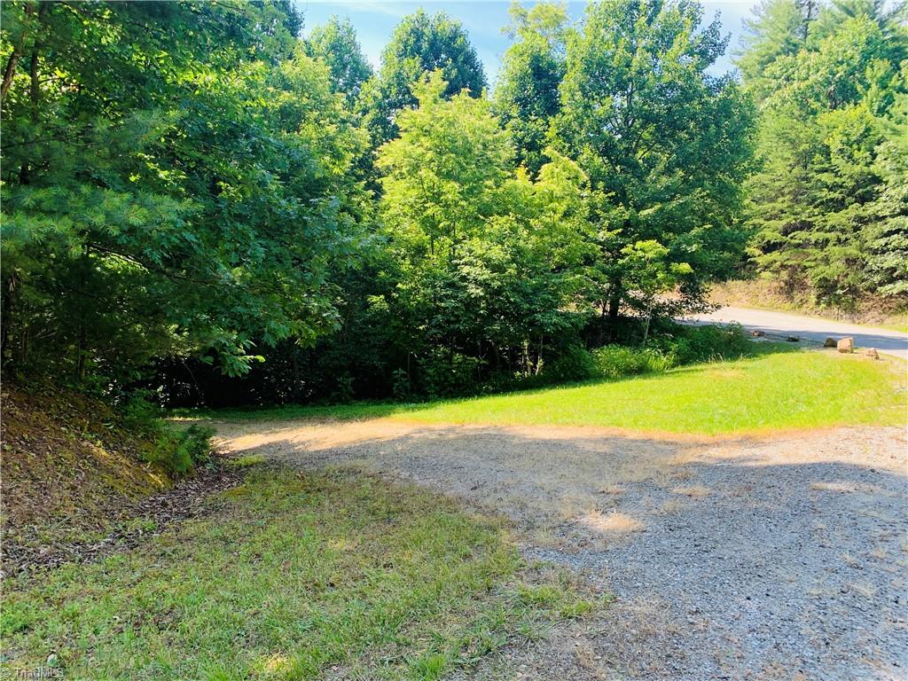 Lot 102 Staghorn Road Purlear, NC 28665 - Photo 2 of 11 Gallery Image 2