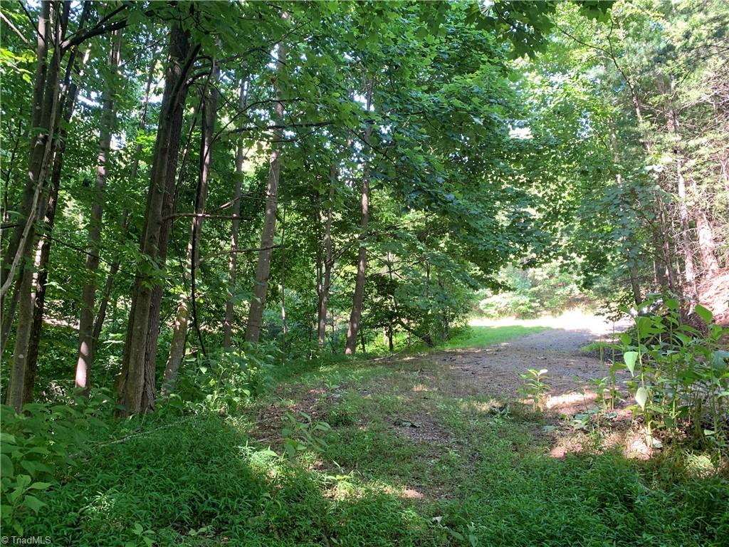 Lot 102 Staghorn Road Purlear, NC 28665 - Photo 4 of 11 Gallery Image 4