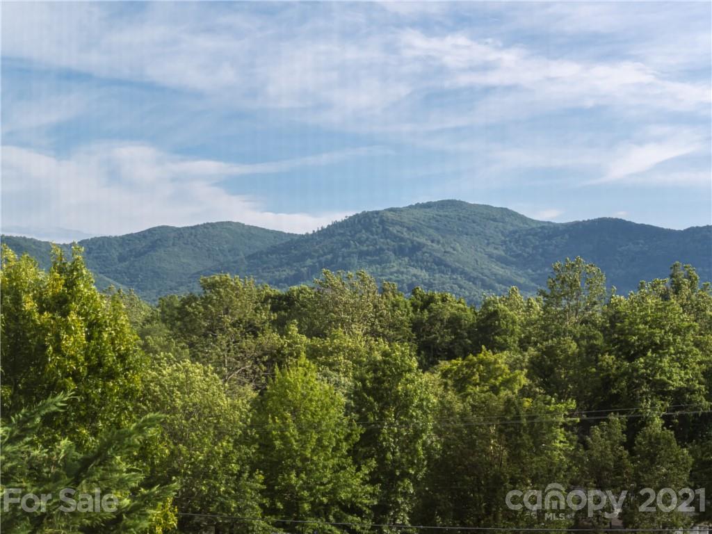305 Magnolia Ridge Road Swannanoa, NC 28778 - Photo 2 of 34 Gallery Image 2