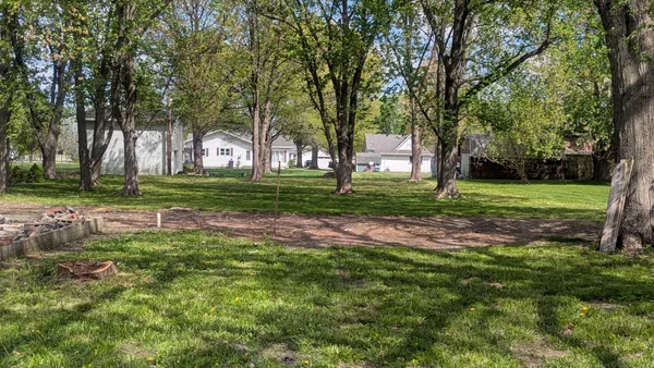a view of a park with large trees