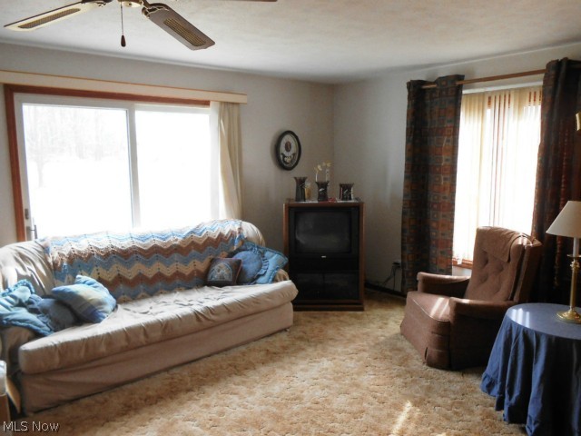 14175 Nash Road Burton, OH 44021 - Photo 4 of 18