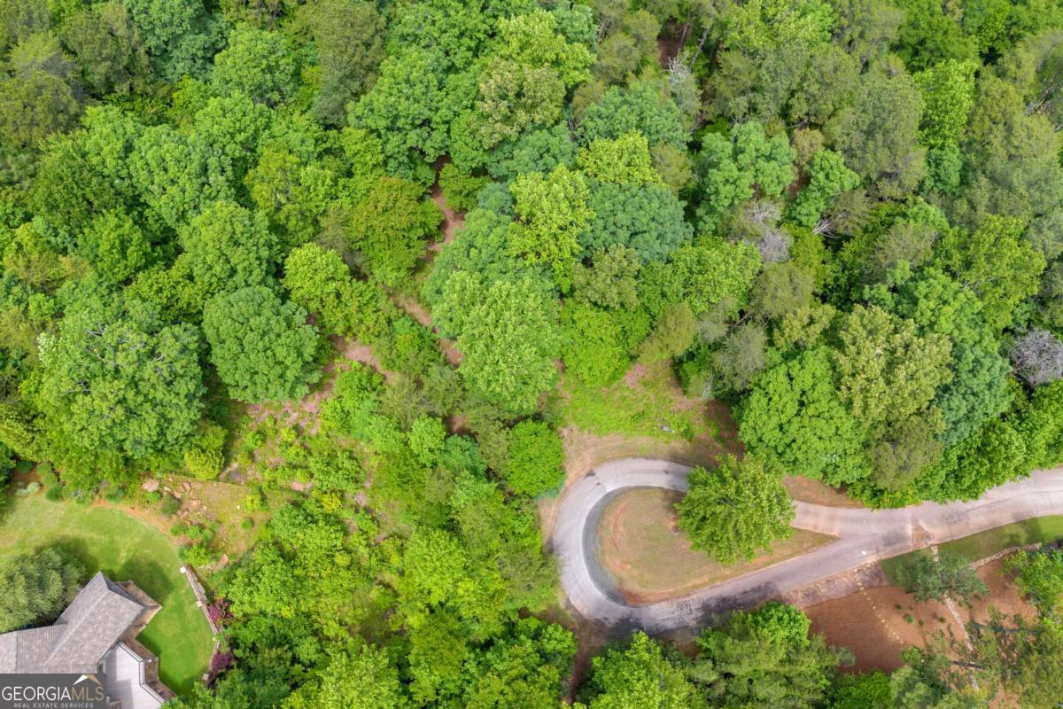 5 Edgewater Trail Toccoa, GA 30577 - Photo 3 of 12 a close up of a plant in a garden