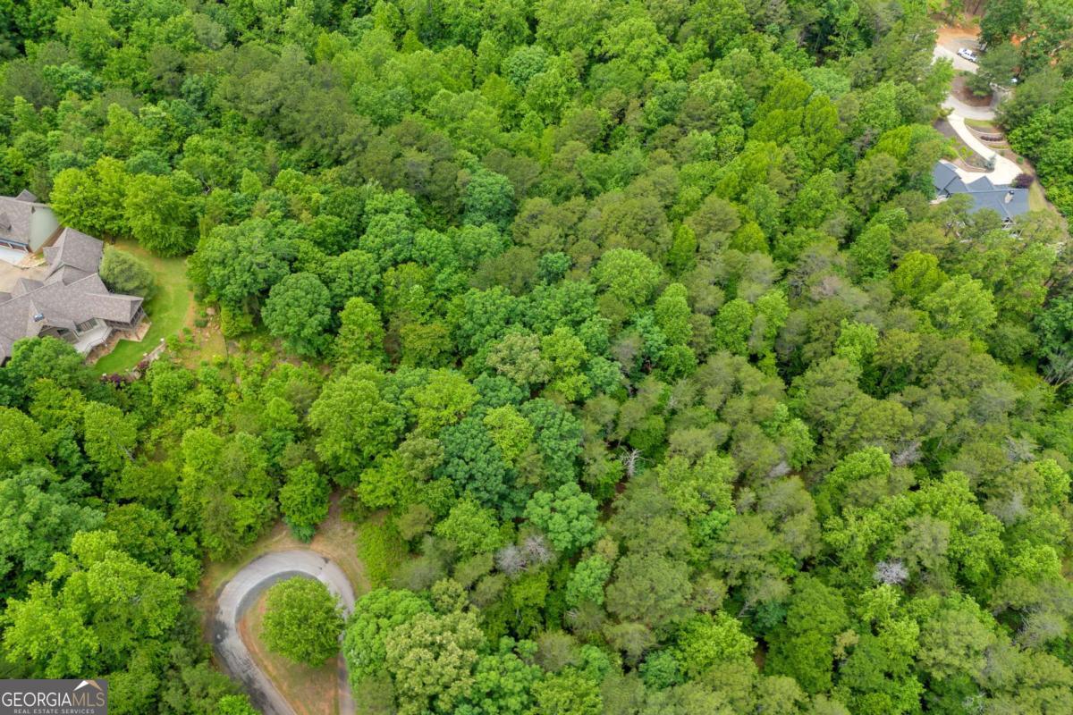 5 Edgewater Trail Toccoa, GA 30577 - Photo 4 of 12 an aerial view of a house with a yard