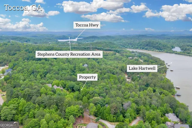 a view of a large trees with plants