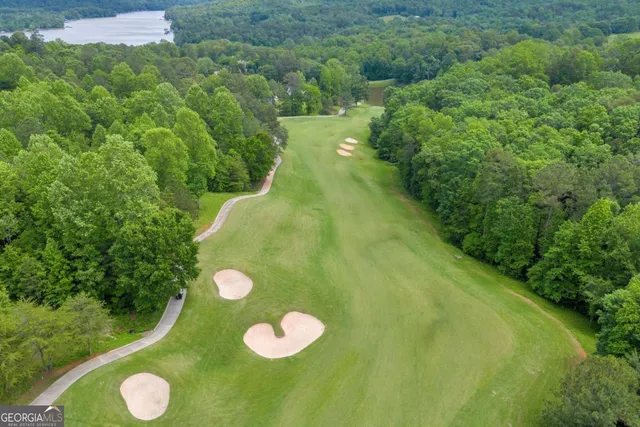 a view of a bunch of trees in a field