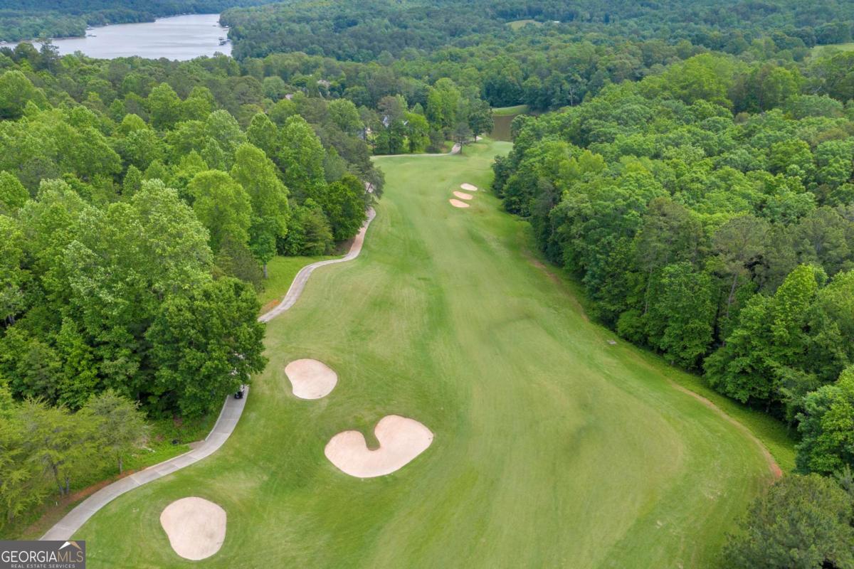 5 Edgewater Trail Toccoa, GA 30577 - Photo 8 of 12 a view of a large trees with plants