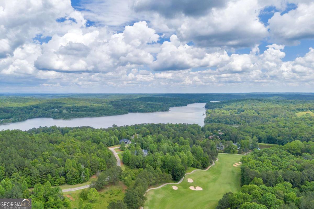5 Edgewater Trail Toccoa, GA 30577 - Photo 9 of 12 a view of a bunch of trees in a field