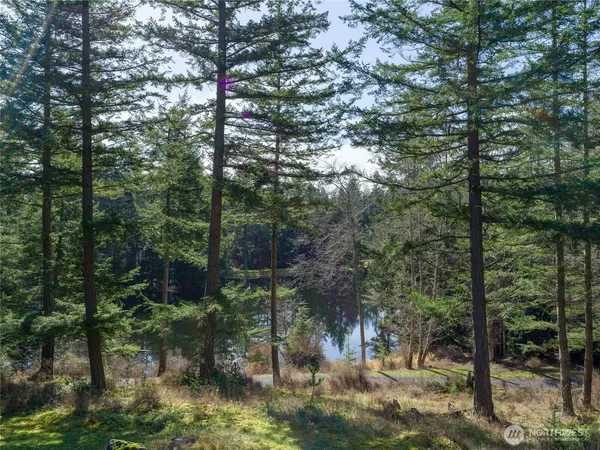 $1,095,000 | 61 Sunrise Bluff Lane, Orcas Island, WA 98279