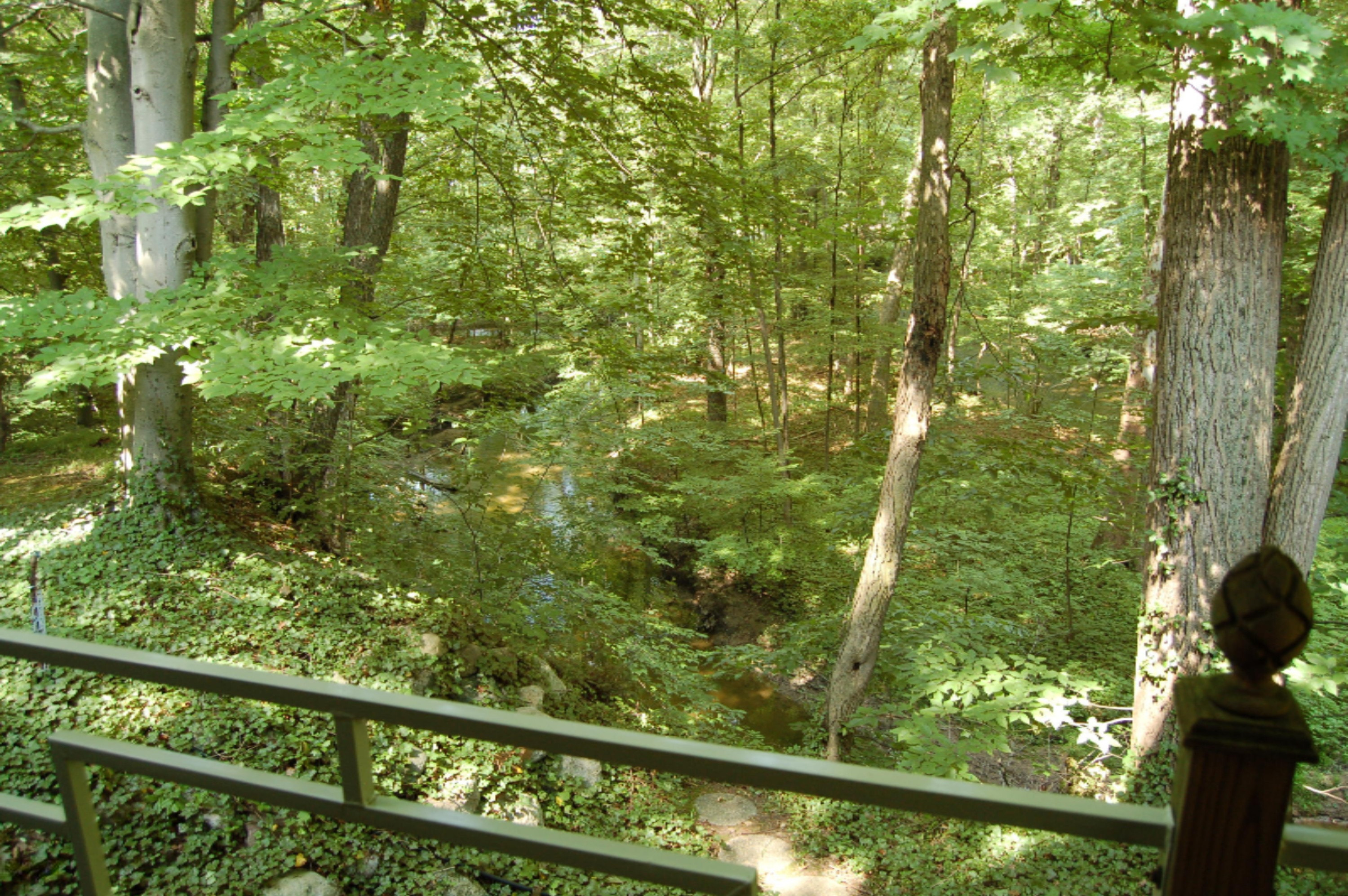 10561 West Garbow Road Middleville, MI 49333 - Photo 31 of 48 DSC_0604
