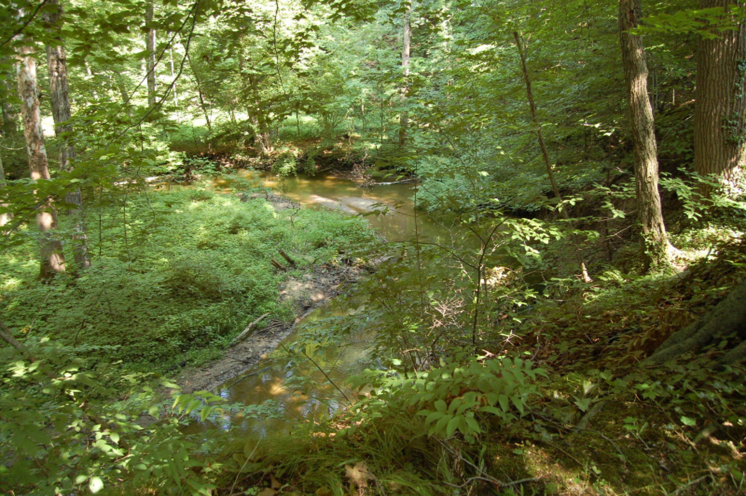 10561 West Garbow Road Middleville, MI 49333 - Photo 36 of 48 DSC_0579
