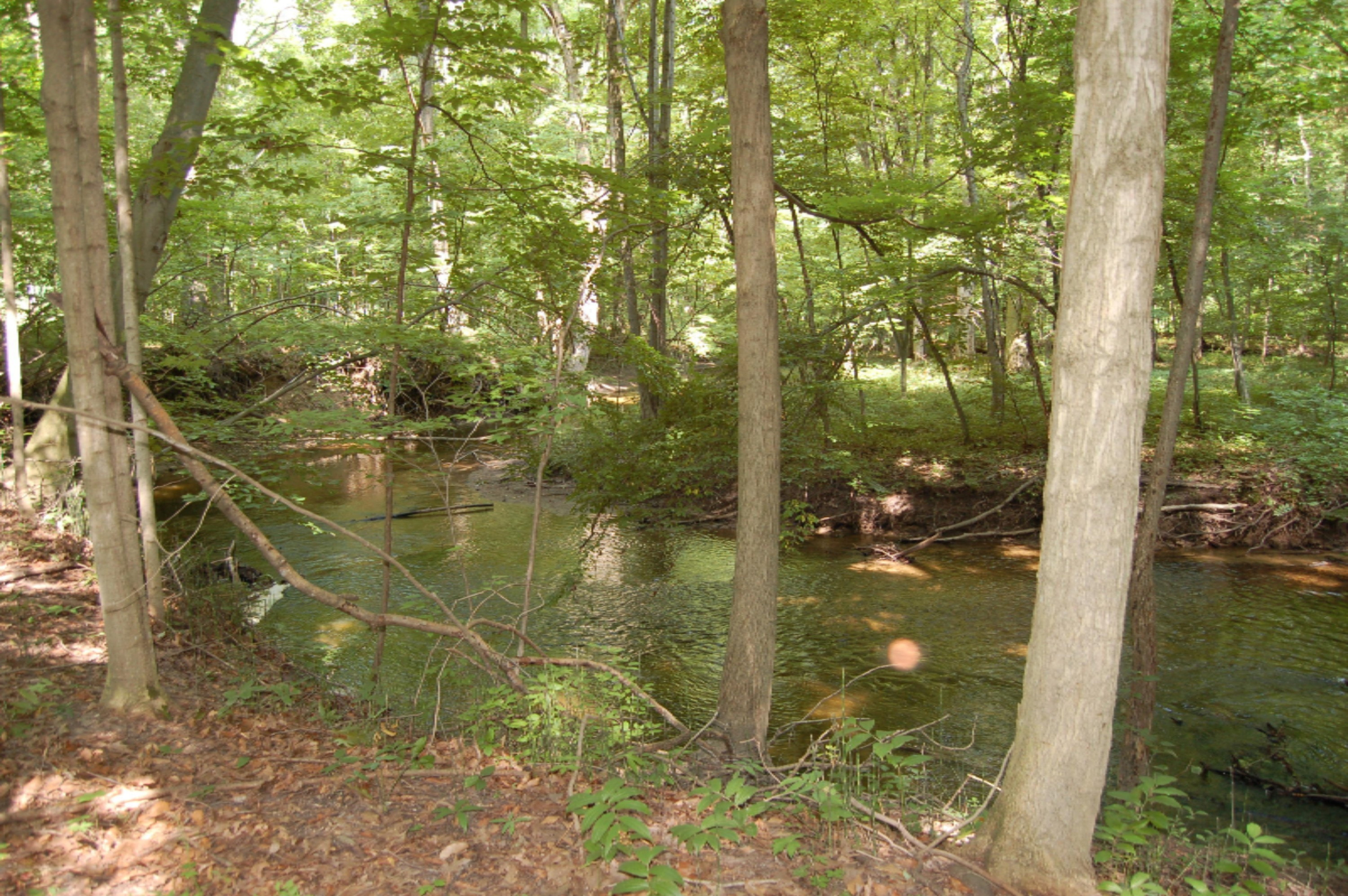 10561 West Garbow Road Middleville, MI 49333 - Photo 39 of 48 DSC_0631