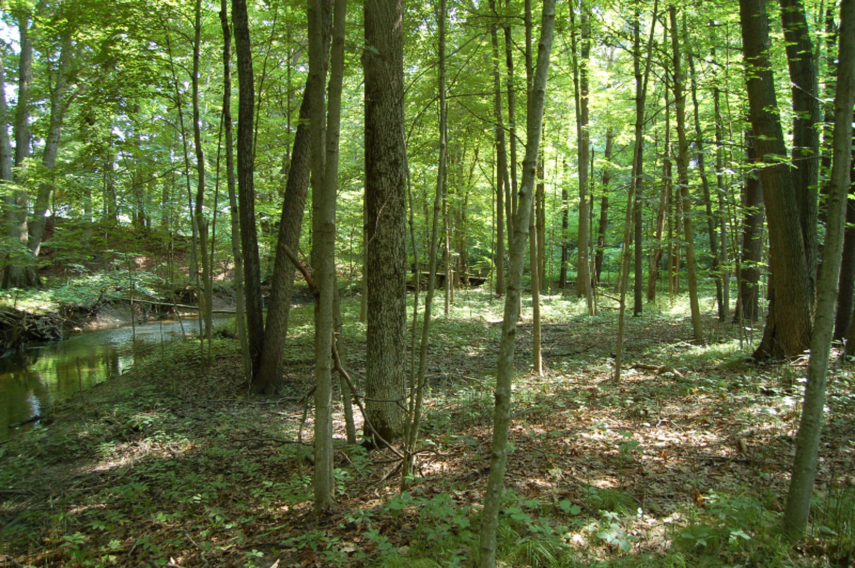 10561 West Garbow Road Middleville, MI 49333 - Photo 40 of 48 DSC_0633