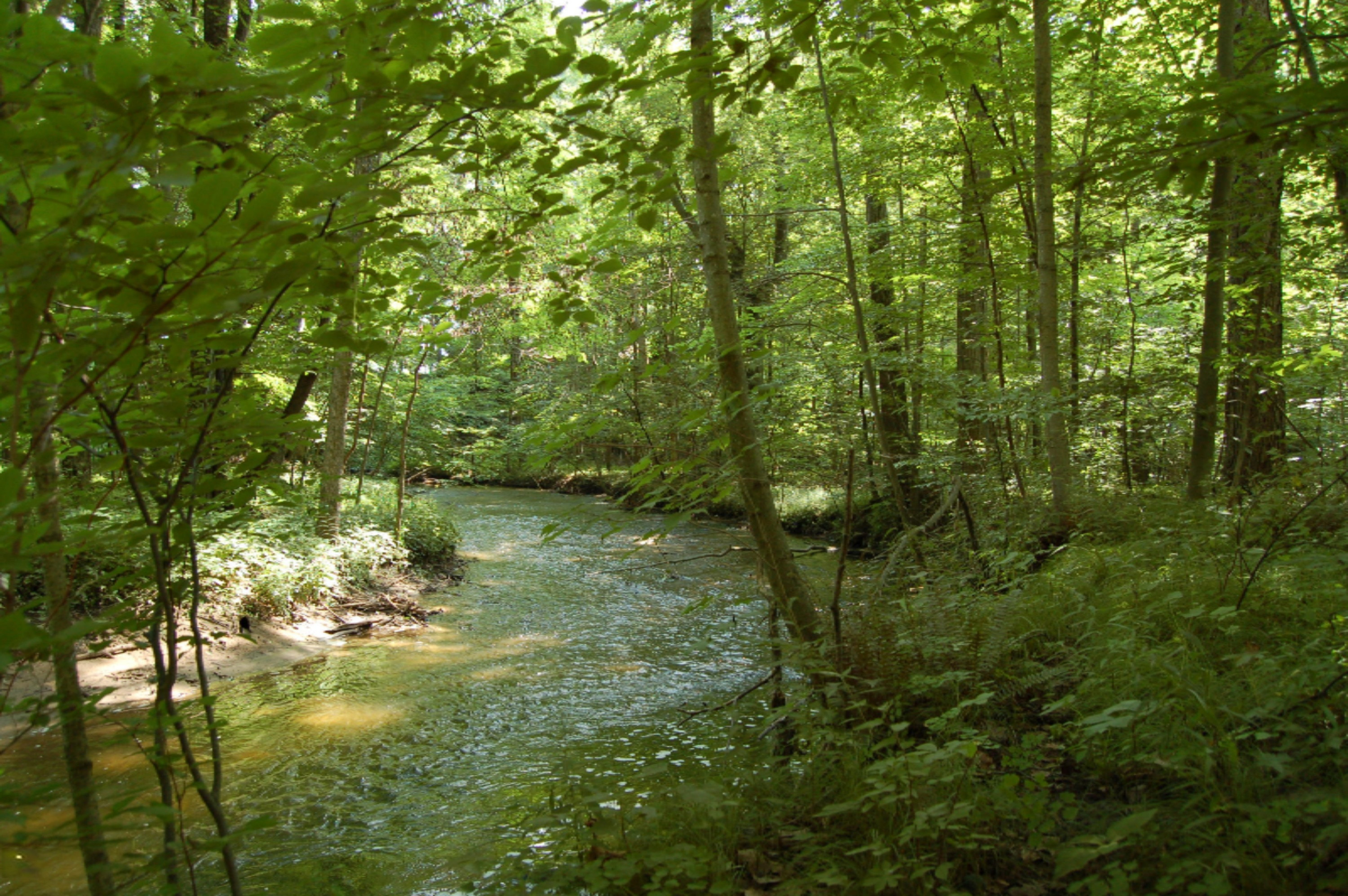 10561 West Garbow Road Middleville, MI 49333 - Photo 4 of 48 DSC_0637