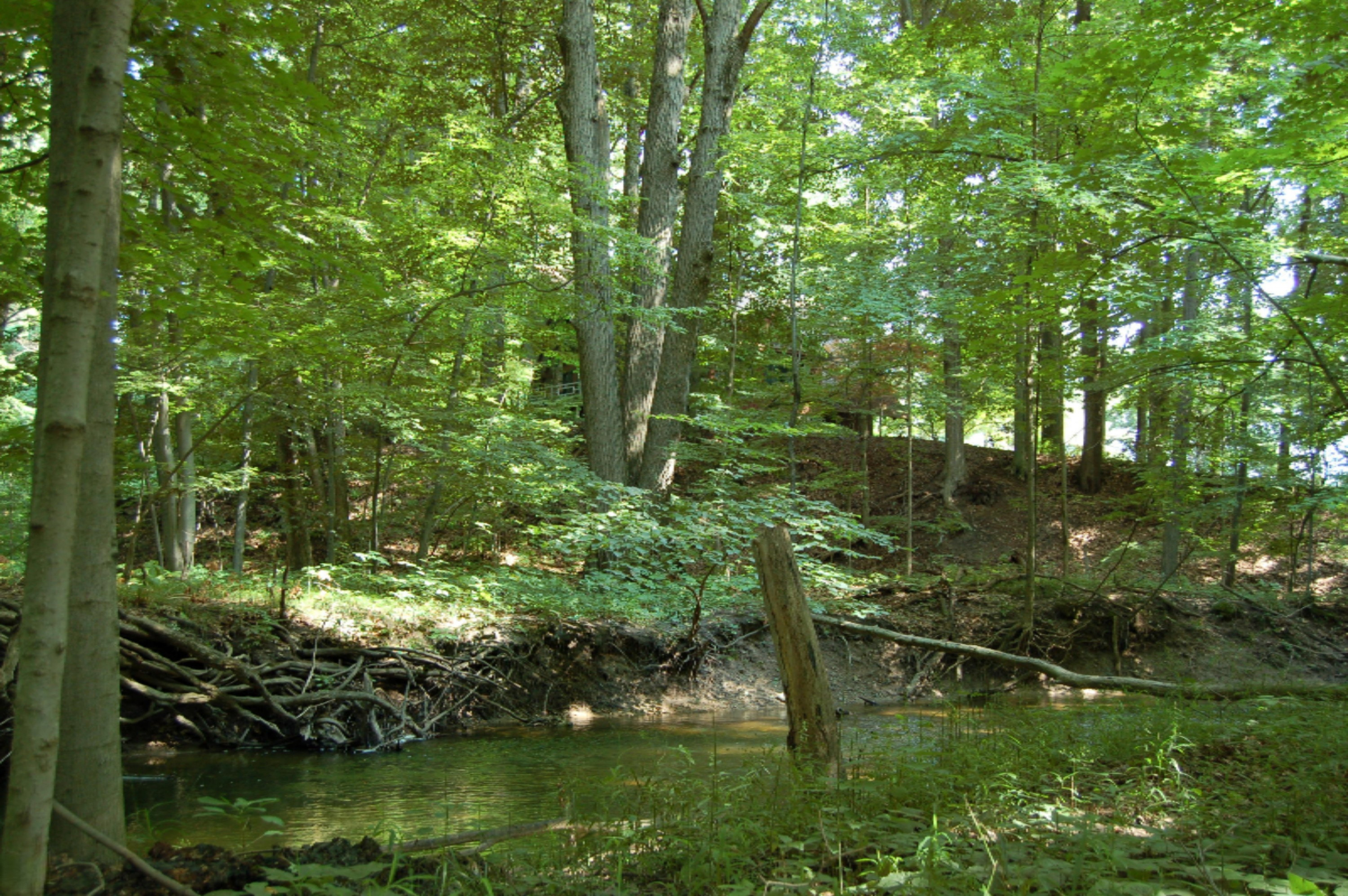 10561 West Garbow Road Middleville, MI 49333 - Photo 41 of 48 DSC_0634