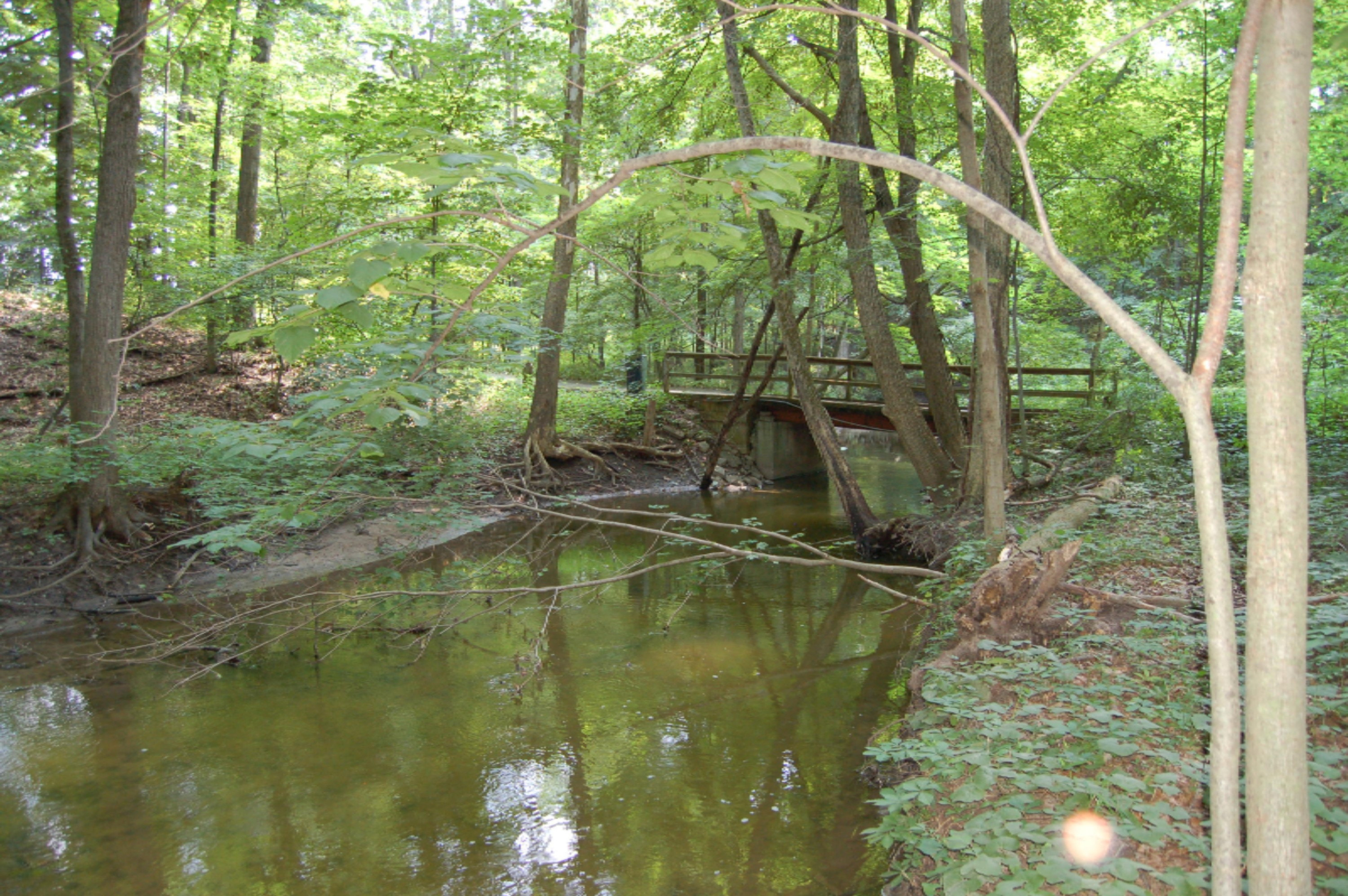 10561 West Garbow Road Middleville, MI 49333 - Photo 10 of 48 DSC_0636