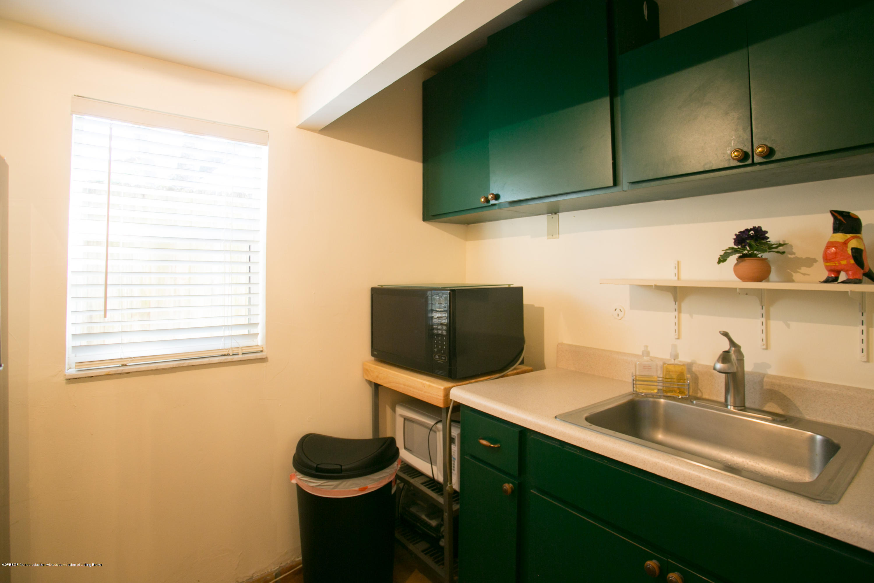 194 Almeria Road West Palm Beach, FL 33405 - Photo 21 of 25 a kitchen with a sink cabinets and a microwave